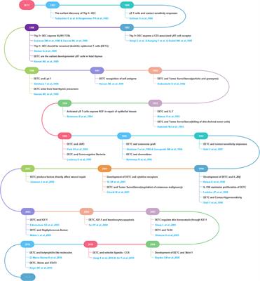 Bibliometric Analysis of Dendritic Epidermal T Cell (DETC) Research From 1983 to 2019